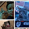 cat, cats, tabby_cat, gray_cat, pet, animal, feline, portrait, collage, close_up, sitting, lying_down, lounging, bed, blanket, indoor, home, person, selfie, text_overlay