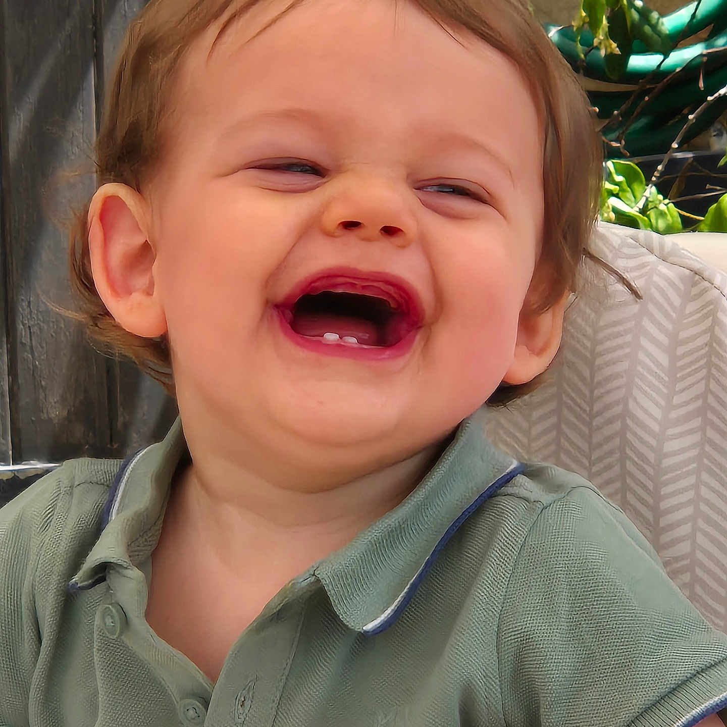 Naël participe au concours pour gagner de l'argent avec cette photo : baby_teeth, casual_clothing, child, closeup, cushion, cute, daylight, face, green_shirt, happy, laughing, outdoor, person, plant, polo_shirt, portrait, seat, short_hair, smiling, toddler