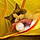 Finn