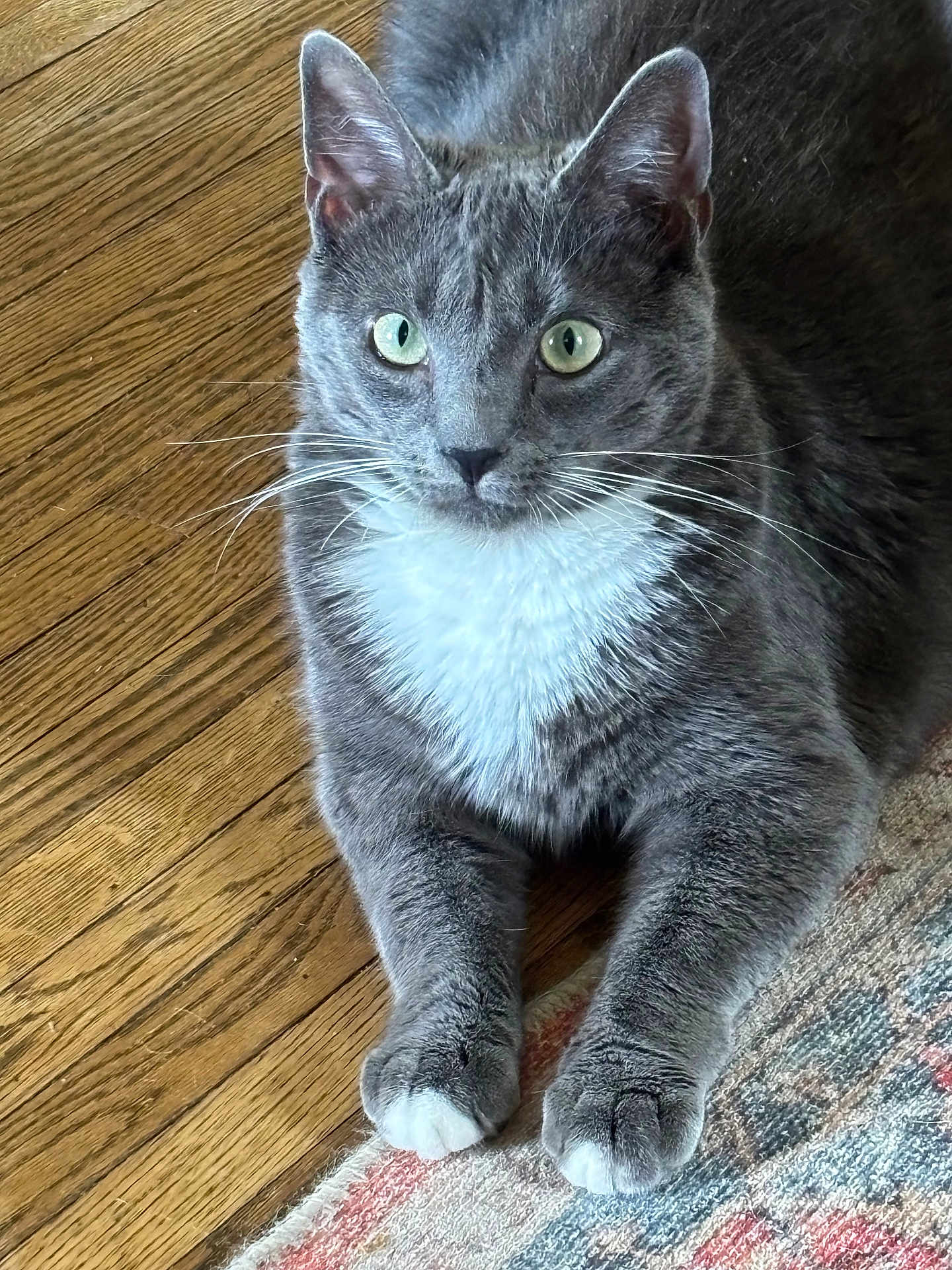 Fletcher
