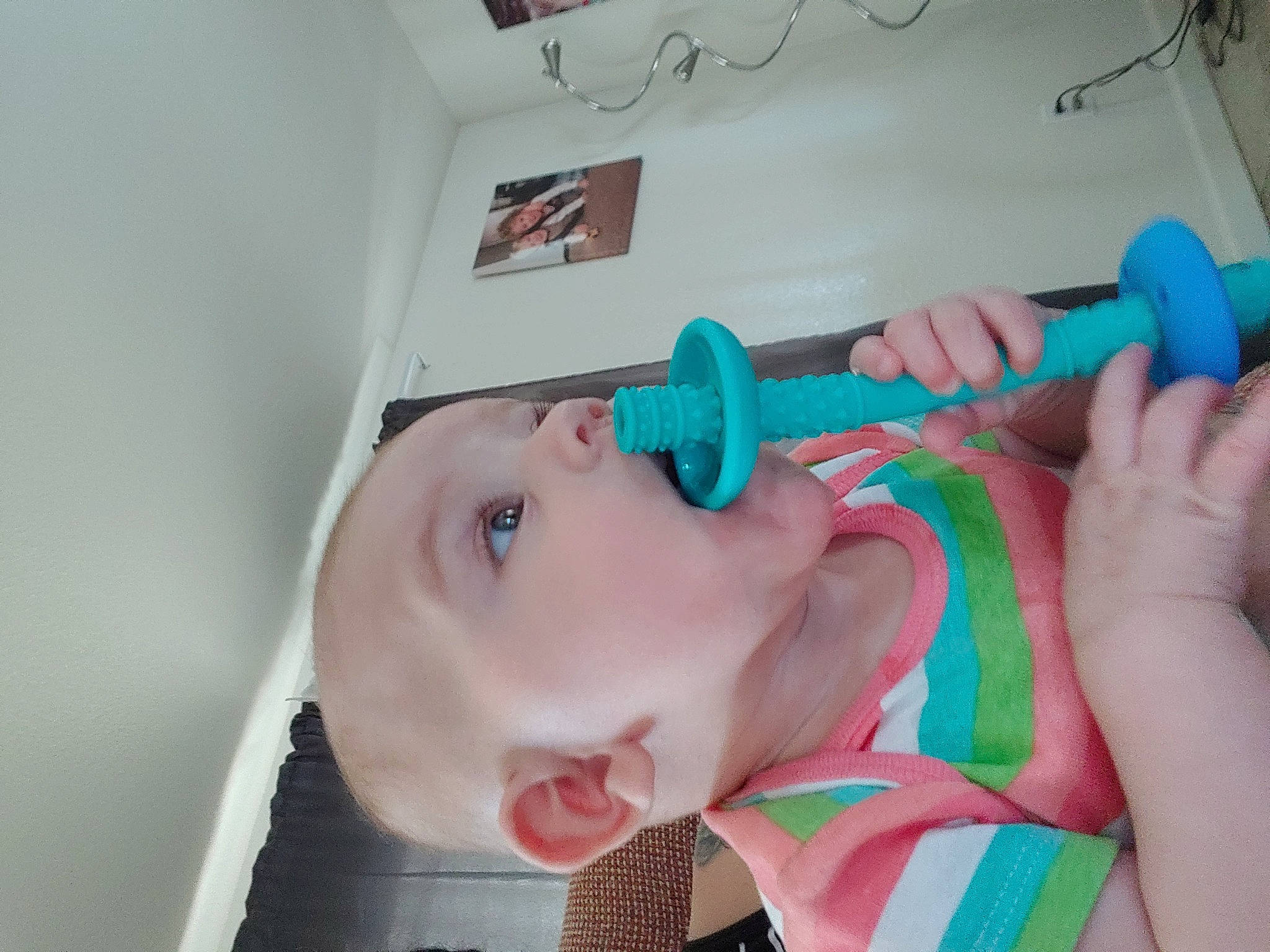 Diamond joined the competition — help win amazing prizes! baby, baby_products, baby_toys, cheek, child, eyelash, fashion_accessory, finger, fun, gesture, mouth, nail, nose, person, room, skin, stuffed_toy, textile, thumb, toddler