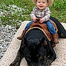 animal, baby, black_dog, blanket, boots, child, cowboy_hat, cute, dog, grass, happy, jeans, outdoor, pet, plaid_shirt, playful, portrait, saddle, smile, stones