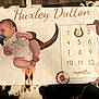 baby, blanket, boots, child, clothing, cowboy_hat, cowhide, face, horseshoe, indoors, infant, lying_down, milestone_blanket, months, onesie, pacifier, skin, western_theme, wheel, wooden_floor
