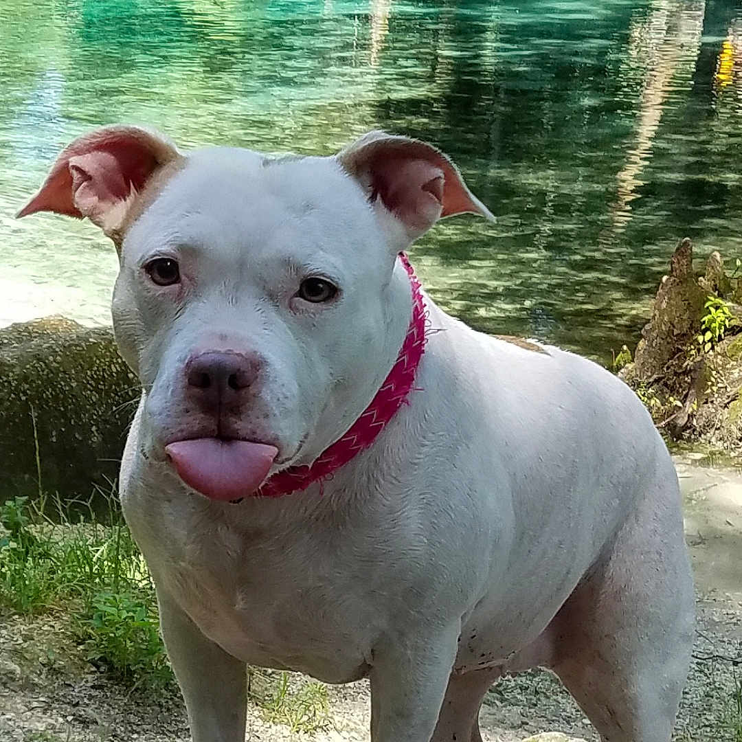 Precious