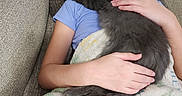 Mako is registered to the contest to win money with this photo: child, cat, glasses, blanket, couch, sleeping, hugging, indoor, cozy, comfort, furniture, relaxing, pet, animal, young_person, casual_clothing, rest, soft_texture, affection, peaceful