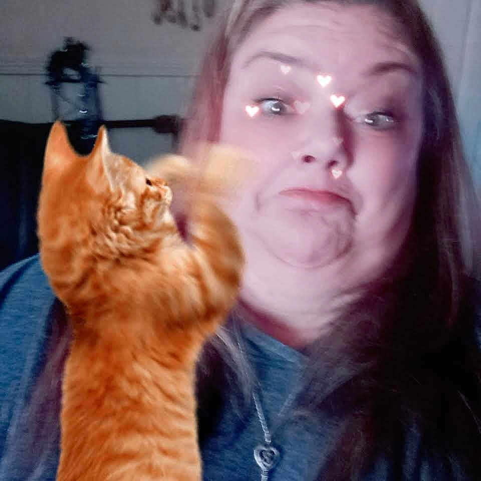 Mr Fritz is registered to the contest to win money with this photo: accessories, animal, blonde, cat, child, face, female, girl, glasses, hair, head, kitten, lighting, manx, person, pet, photobombing, photography, portrait, selfie