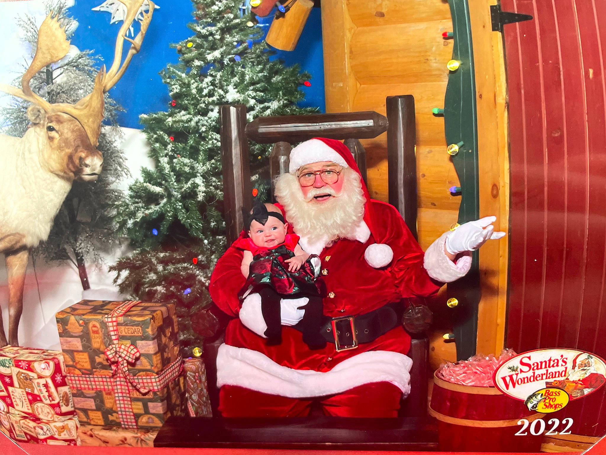 Prudence joined the competition — help win amazing prizes! beard, christmas, christmas_decoration, christmas_eve, christmas_ornament, christmas_tree, costume_hat, event, facial_hair, fictional_character, hat, headwear, holiday, interior_design, lap, ornament, person, plant, santa_claus, toy