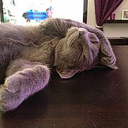 Jazz a rejoint le concours — aidez-le/la à gagner de superbes lots !