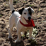 Groove participe au concours pour gagner de l'argent avec cette photo :