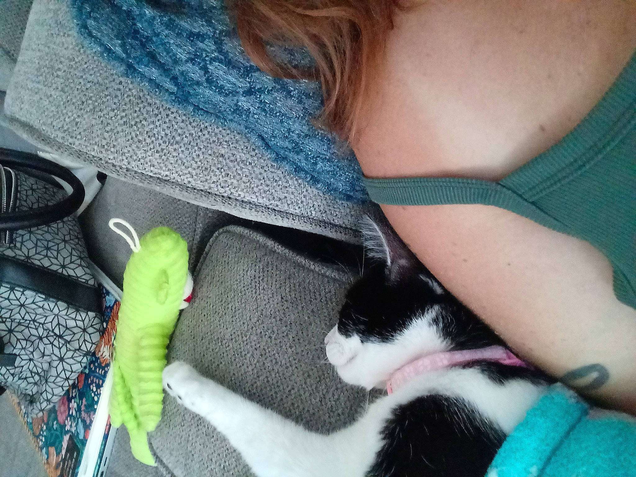 Sassy Frass joined the competition — help win amazing prizes! bag, carnivore, cat, comfort, denim, electric_blue, fashion_accessory, felidae, grass, human_leg, linens, luggage_and_bags, nail, pattern, sleeve, t_shirt, tail, textile, thigh, whiskers