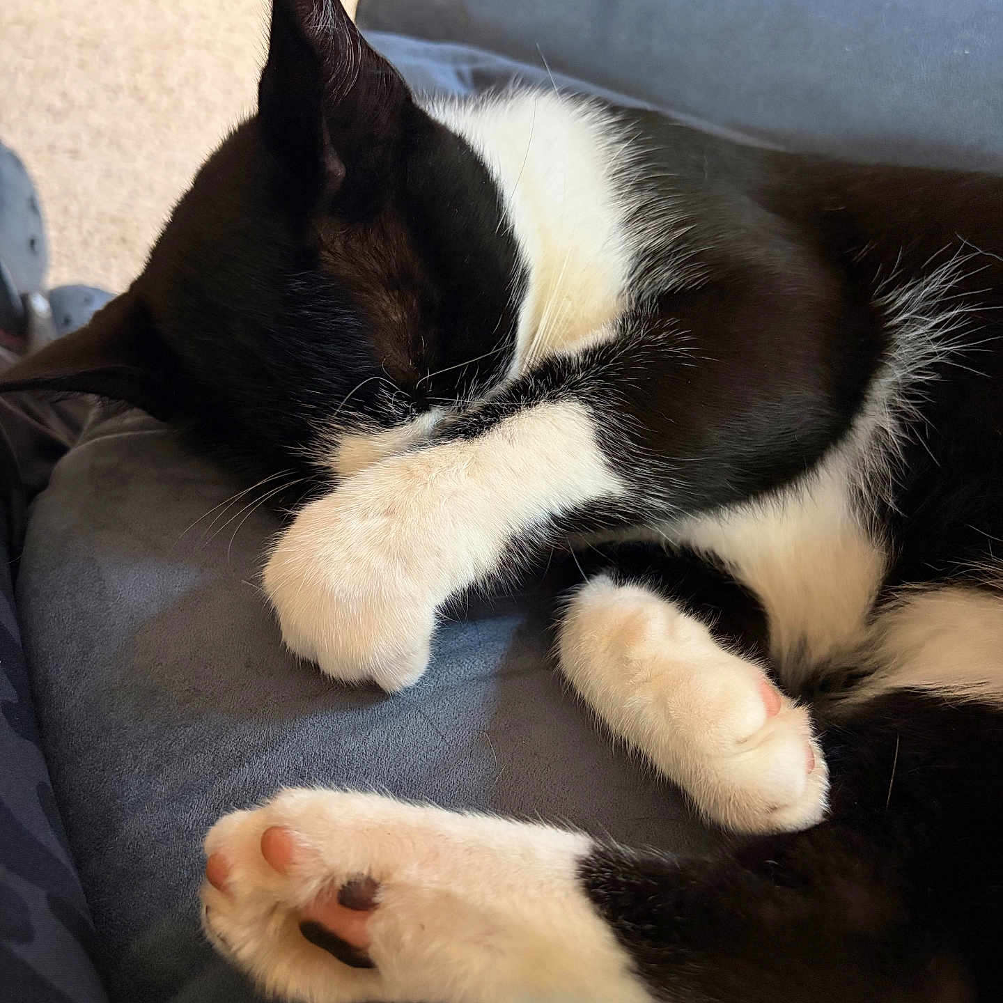 Tux