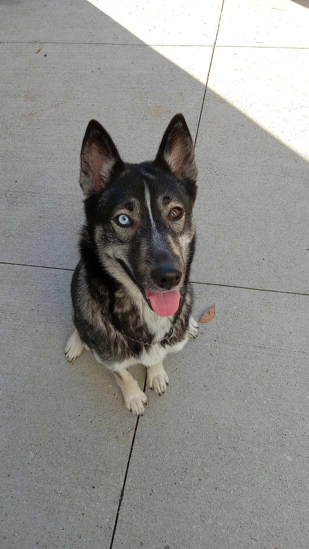 Khaos
