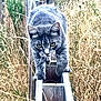 cat, gray_tabby, fence, outdoor, grass, nature, animal, wildlife, predator, stalking, focused, whiskers, ears, eyes, mammal, walking, wood, field, plant, daylight