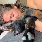 Venom participe au concours pour gagner de l'argent avec cette photo : person, dog, sleeping, couch, pillow, paw, closeup, resting, indoor, casual, relaxation, animal, human, companion, nap, fur, comfort, pet, friendship, cozy