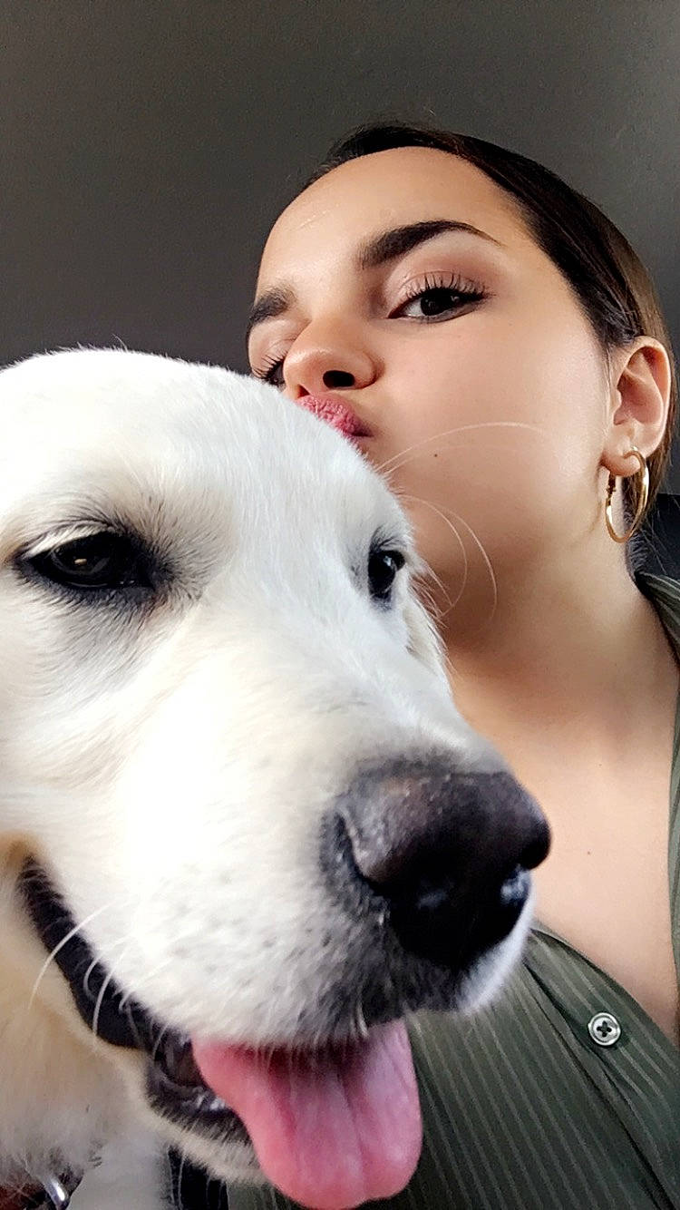 Paloma participe au concours pour gagner de l'argent avec cette photo : carnivore, companion_dog, dog, dog_breed, ear, earrings, eye, eyebrow, eyelash, fawn, flash_photography, fur, happy, iris, jaw, makeover, nose, selfie, smile, whiskers