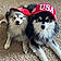 Kyky And Rocky