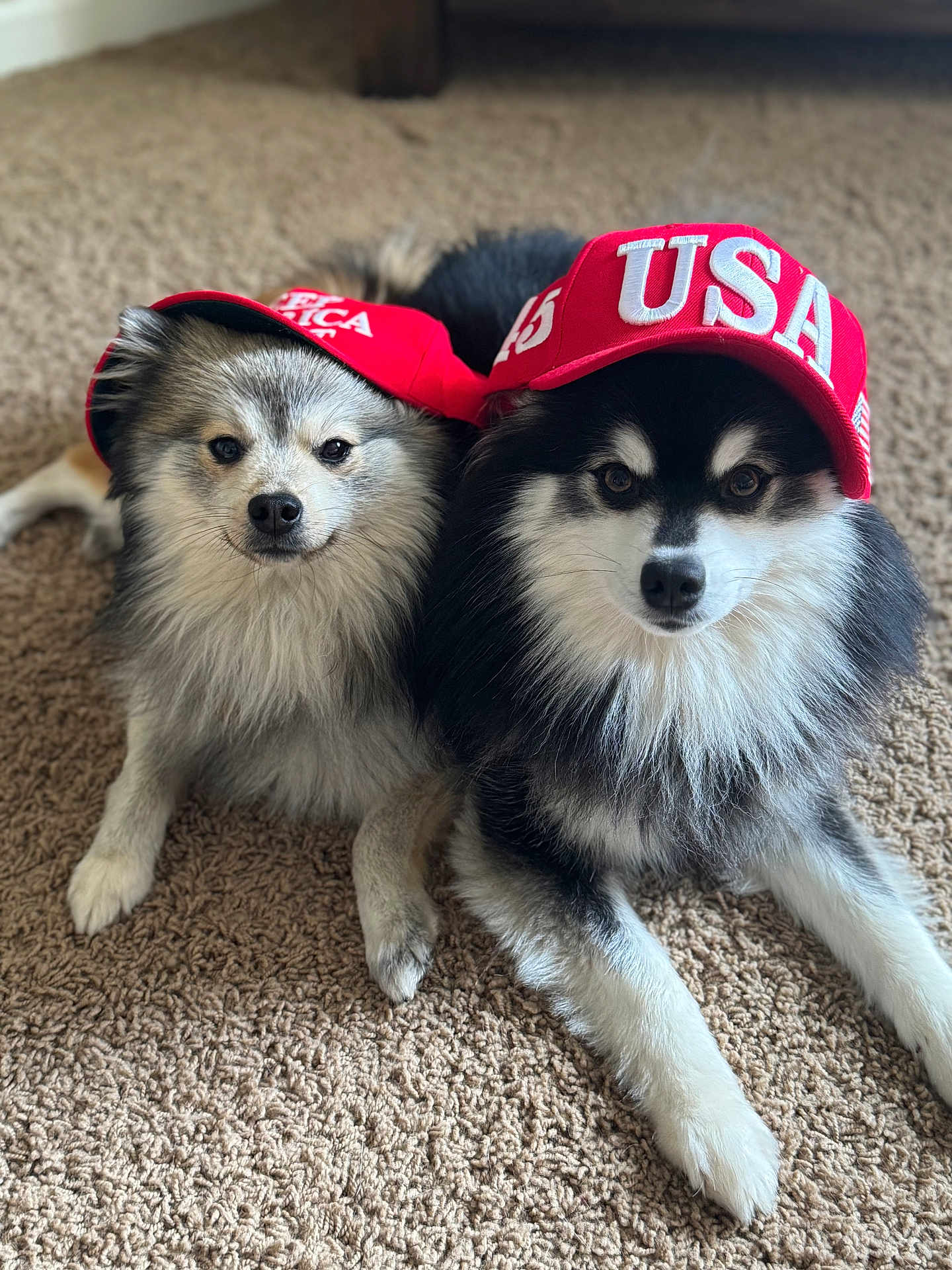 Kyky And Rocky
