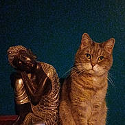 Caline a rejoint le concours — aidez-le/la à gagner de superbes lots ! animal, cat, curious, decor, ears, face, feline, fur, indoor, metallic_statue, peaceful, portrait, quiet, resting_figure, sitting, statue, still_life, tabby_cat, whiskers, wooden_surface