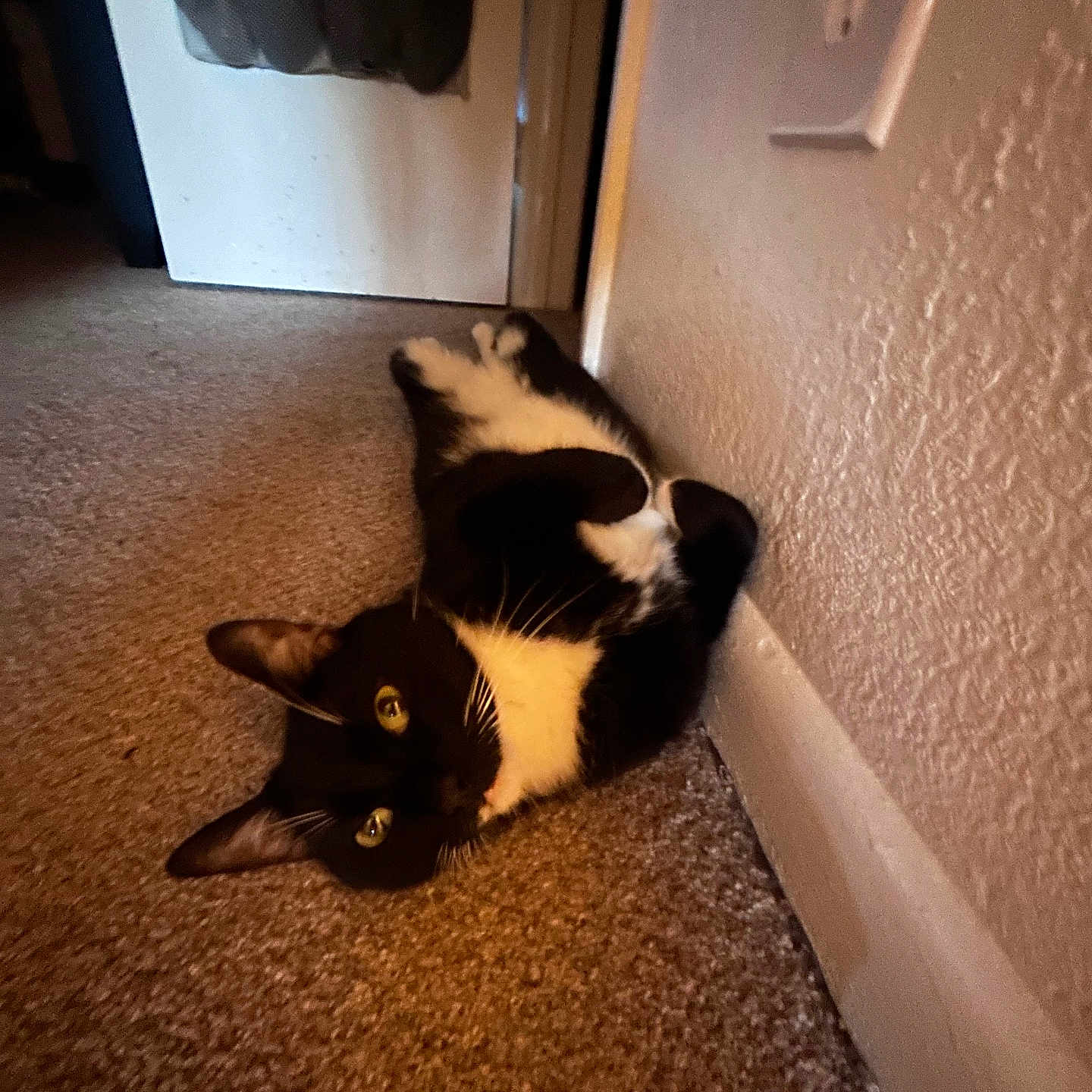Oliver
