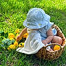 baby, child, basket, grass, lemons, hat, blanket, outdoor, nature, greenery, cute, infant, summer, sunlight, playing, fruit, soft_toy, curious, sitting, casual_clothing
