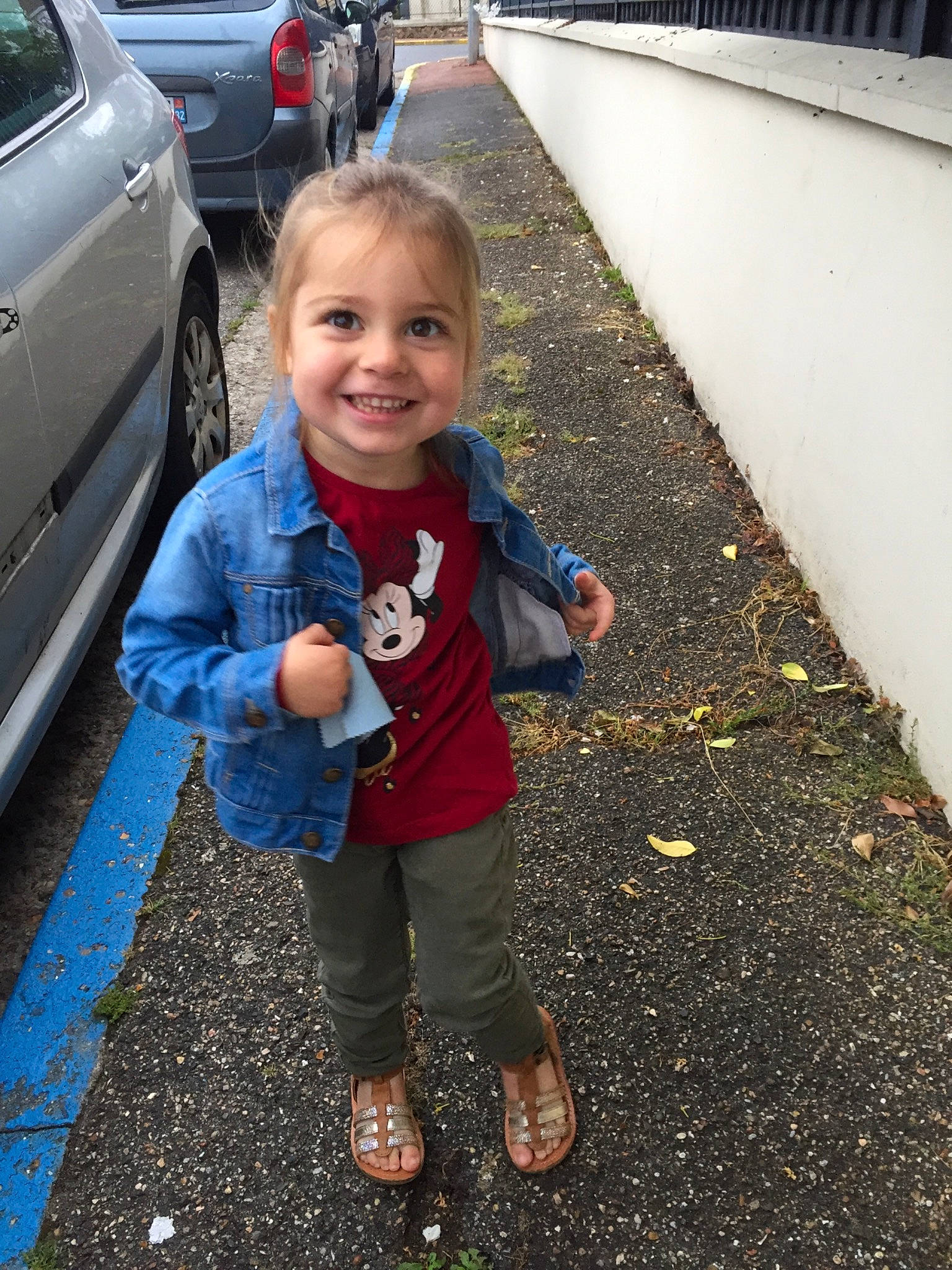 Eryn participe au concours pour gagner de l'argent avec cette photo : asphalt, automotive_exterior, car, face, grass, head, joy, leaf, leg, motor_vehicle, person, road, road_surface, sidewalk, smile, standing, tire, toddler, tree, vehicle