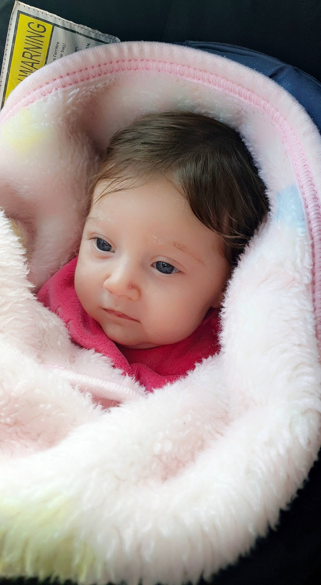 Amelya participe au concours pour gagner de l'argent avec cette photo : baby, cheek, chin, close_up, comfort, eye, eyebrow, eyelash, face, hair, happy, head, iris, lip, mammal, nose, person, pink, skin, textile