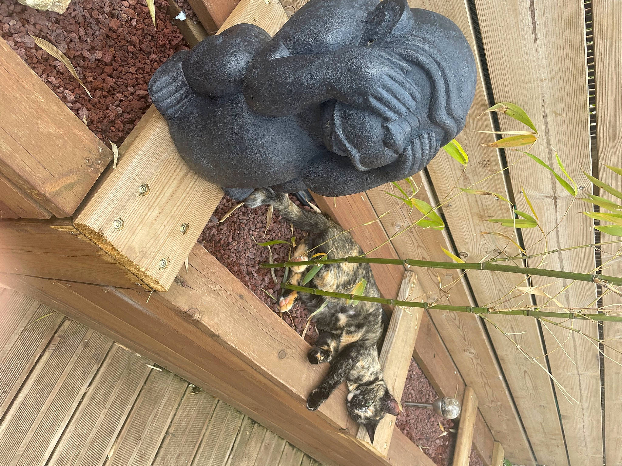 Hermione participe au concours pour gagner de l'argent avec cette photo : art, grass, hardwood, lumber, metal, natural_material, pattern, plank, plant, rectangle, sculpture, soil, statue, twig, wood, wood_stain