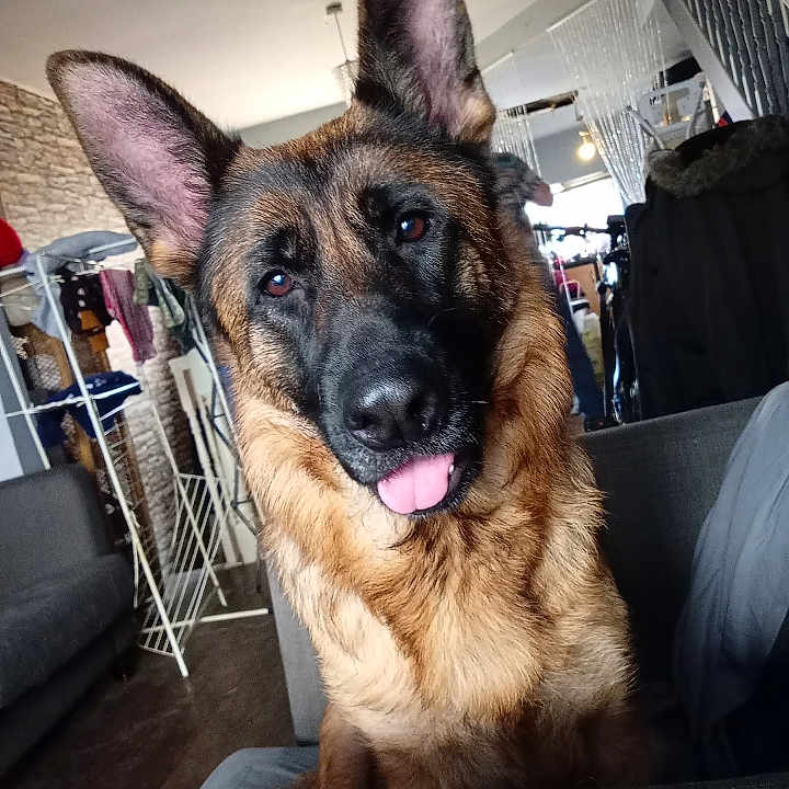 Luna