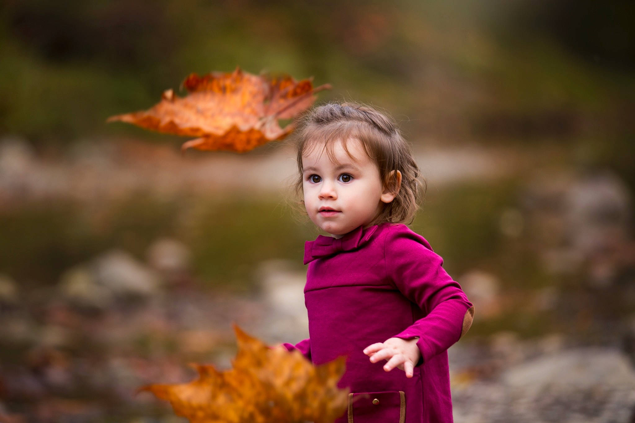 Hazel is registered to the contest to win money with this photo: autumn, beauty, brown_hair, cheek, child, child_model, deciduous, flash_photography, happy, human, leaf, people_in_nature, person, portrait, portrait_photography, toddler