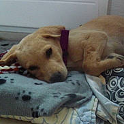 HAPPY participe au concours pour gagner de l'argent avec cette photo :