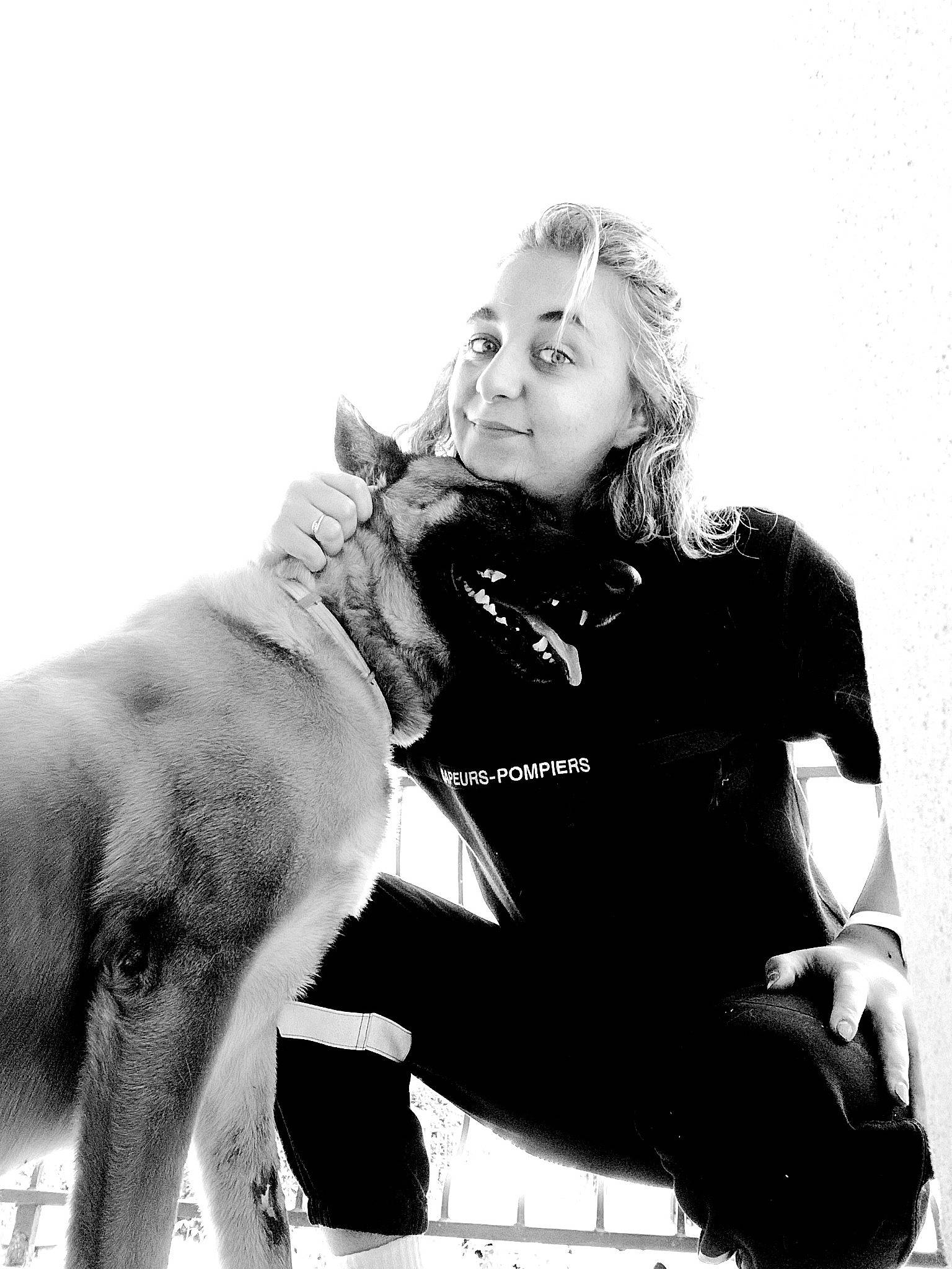 Hilton a rejoint le concours — aidez-le/la à gagner de superbes lots ! beauty, black_and_white, cane_corso, canidae, carnivore, companion_dog, dobermann, dog, dog_breed, great_dane, guard_dog, monochrome, monochrome_photography, non_sporting_group, photography, sitting, sporting_group, stock_photography, style, working_dog