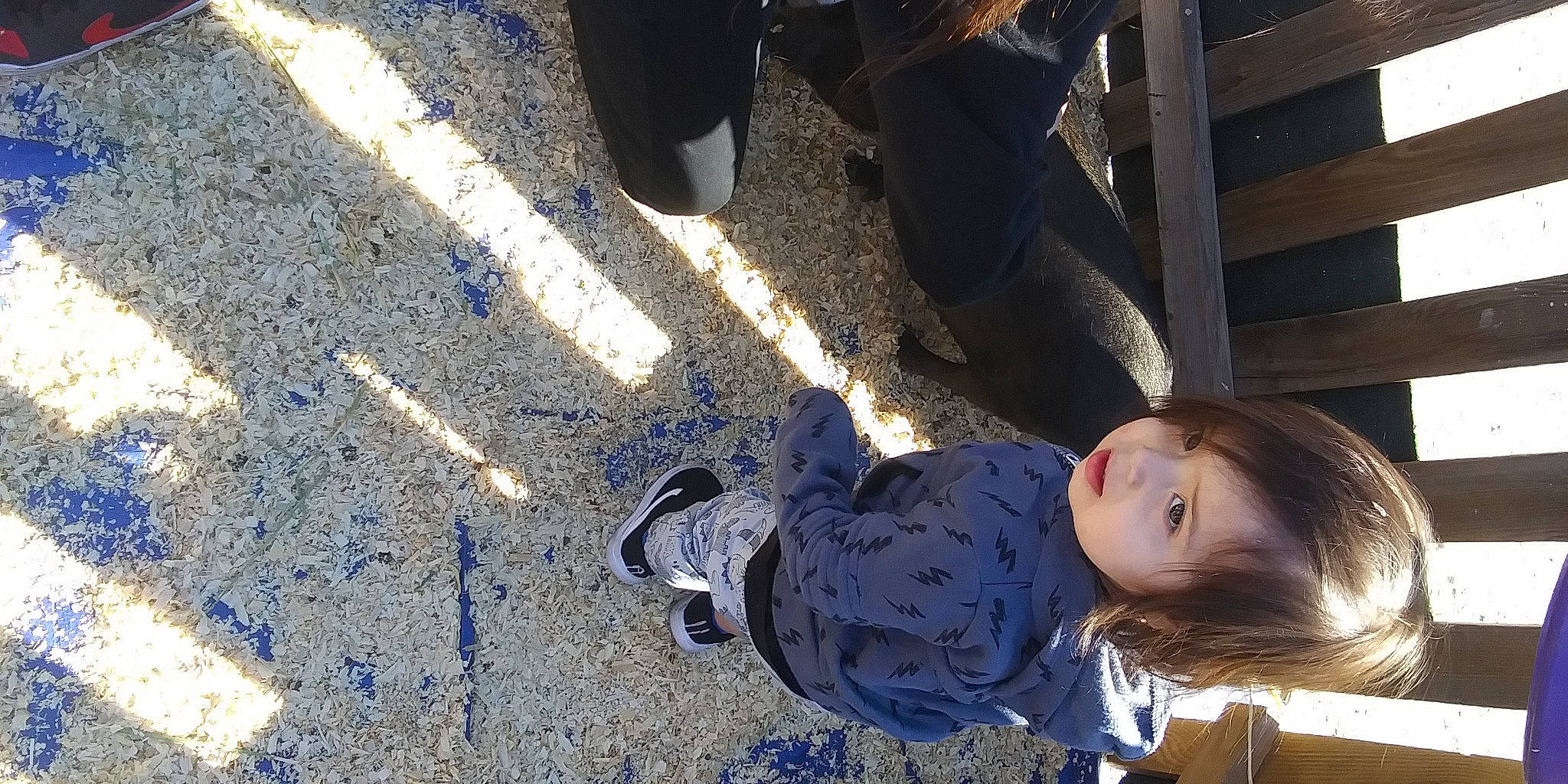 Salvador joined the competition — help win amazing prizes! asphalt, automotive_tire, blue, child, concrete, electric_blue, foot, fun, human_leg, person, road_surface, shadow, shoe, sitting, sneakers, soil, toddler, tree, walking_shoe, winter