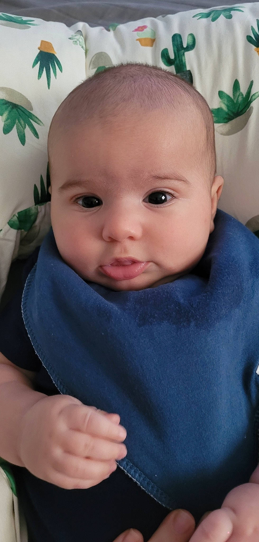 Solomon joined the competition — help win amazing prizes! baby, baby_toddler_clothing, cheek, chin, eyebrow, facial_expression, finger, gesture, grass, green, iris, lip, mouth, neck, nose, person, plant, product, skin, sleeve