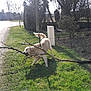 Filou participe au concours pour gagner de l'argent avec cette photo :