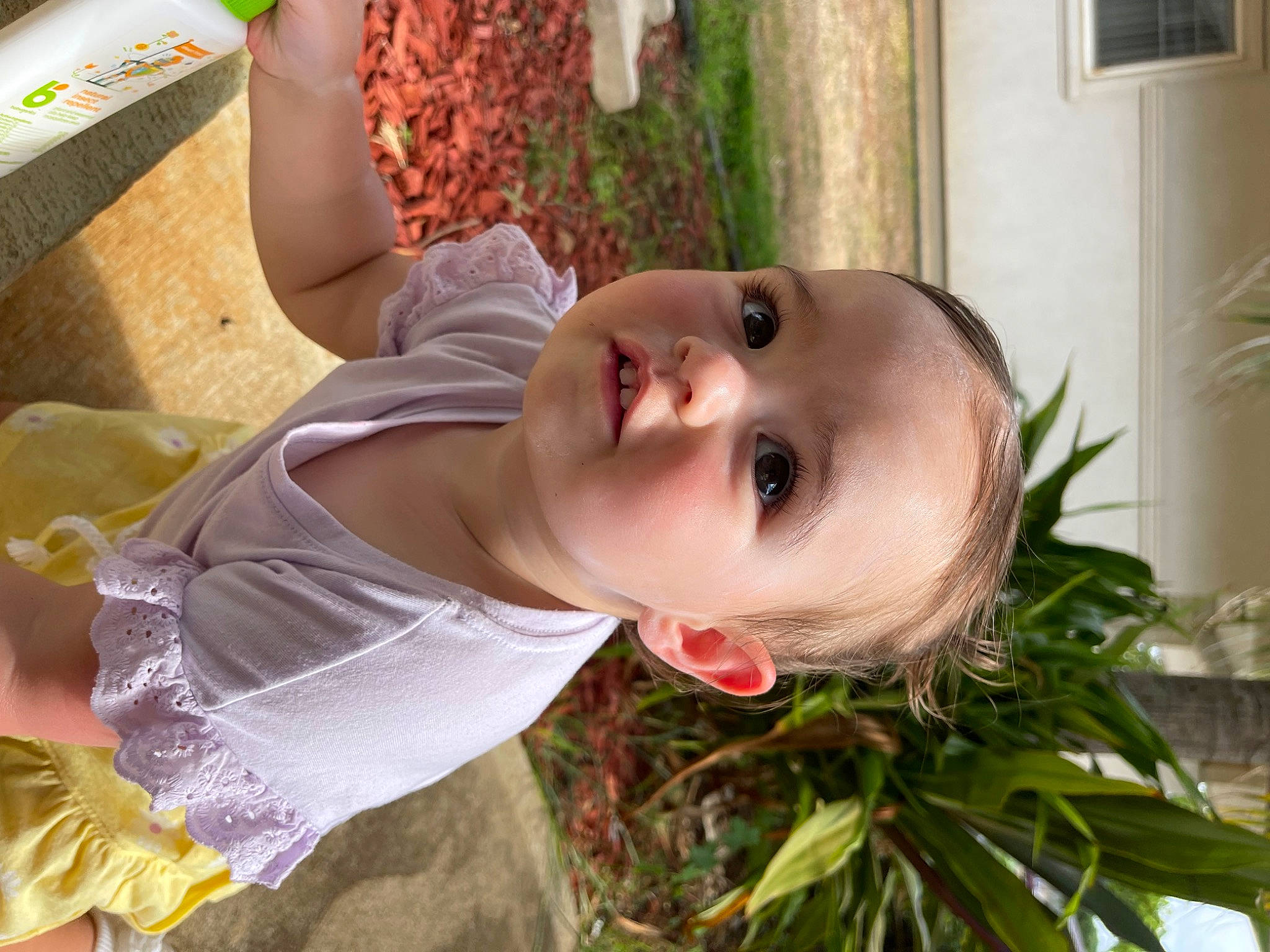Arabella joined the competition — help win amazing prizes! baby, child, eyelash, fun, grass, happy, houseplant, leisure, lip, mouth, nose, people_in_nature, person, plant, toddler, tree, vacation, window