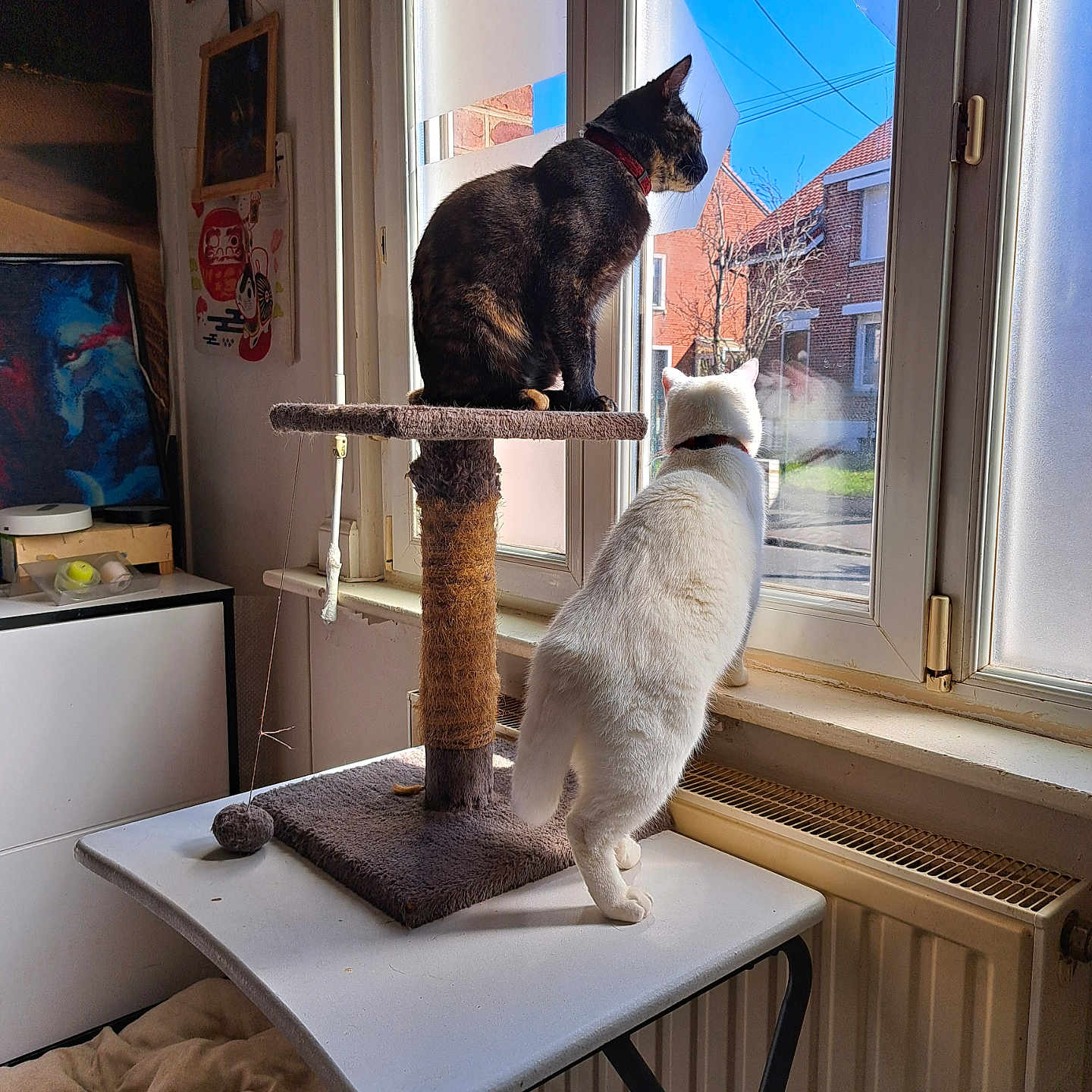 Chiro Et Lucifer