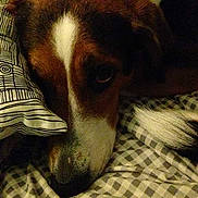 Eila a rejoint le concours — aidez-le/la à gagner de superbes lots !