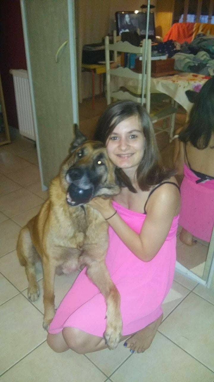 Darky a rejoint le concours — aidez-le/la à gagner de superbes lots ! canidae, carnivore, dog, dog_breed, fawn, joy, mammal, person, sporting_group, vertebrate, working_dog