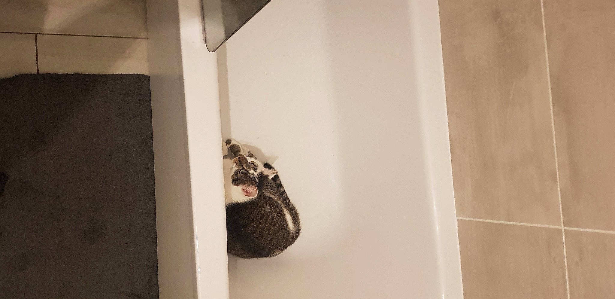 Octime participe au concours pour gagner de l'argent avec cette photo : ceiling, flooring, hardwood, monochrome, monochrome_photography, pattern, plaster, plywood, room, shadow, shelf, stairs, still_life_photography, tints_and_shades, visual_arts, wood, wood_flooring, wood_stain