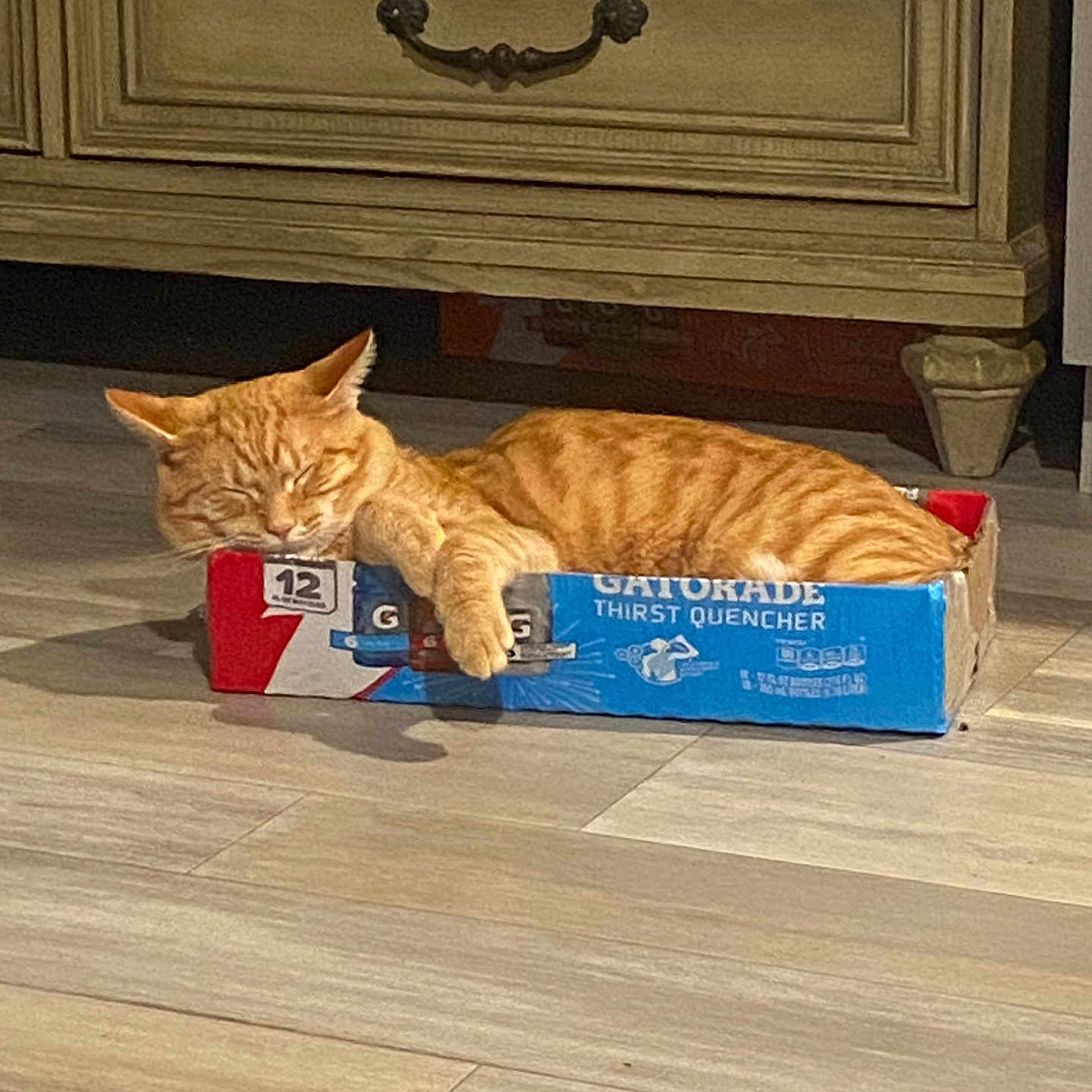 Garfield