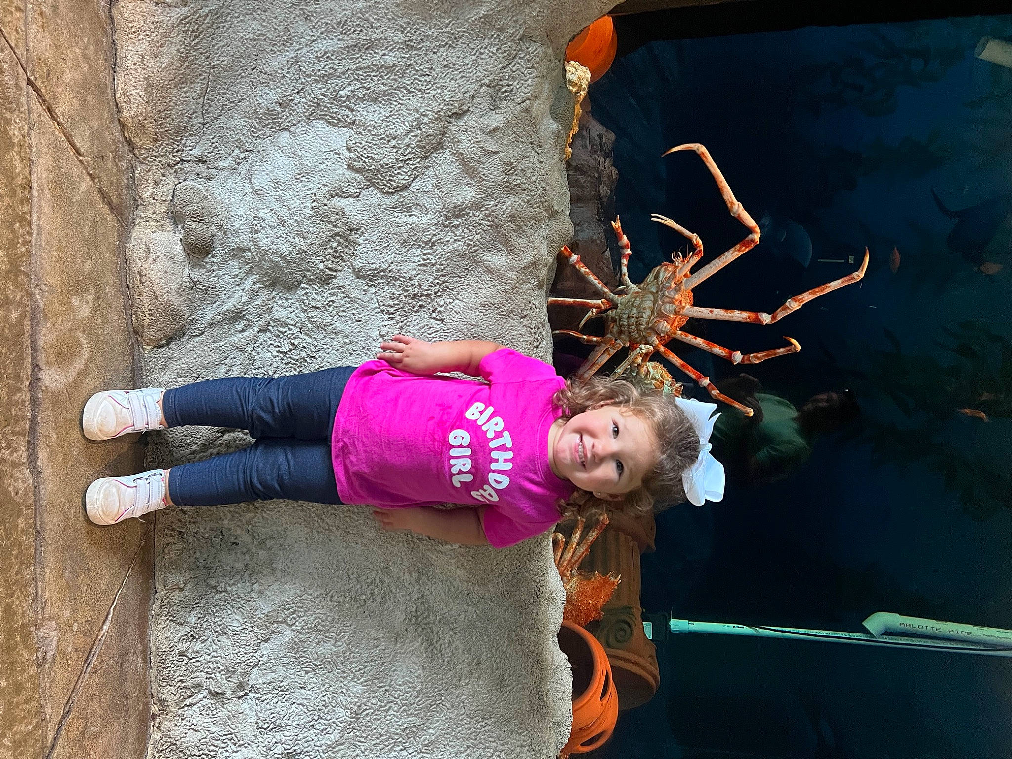 Sienna is registered to the contest to win money with this photo: art, fun, joy, leisure, magenta, person, smile, tree, under_exposed, visual_arts, window, wood