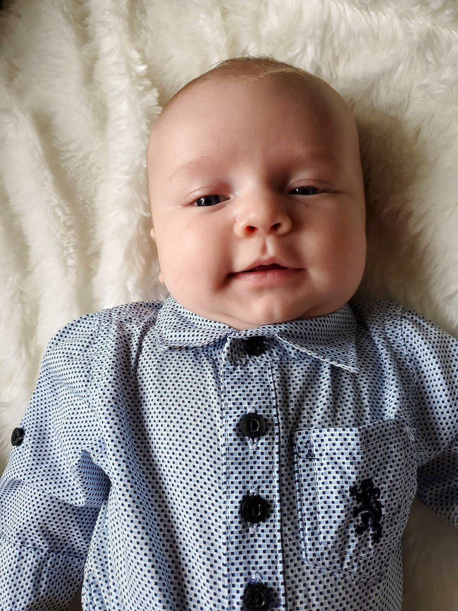 Madden is registered to the contest to win money with this photo: baby, baby_toddler_clothing, bow_tie, cheek, child, chin, design, eye, face, head, lip, mouth, nose, outerwear, pattern, person, photography, plaid, skin, tie