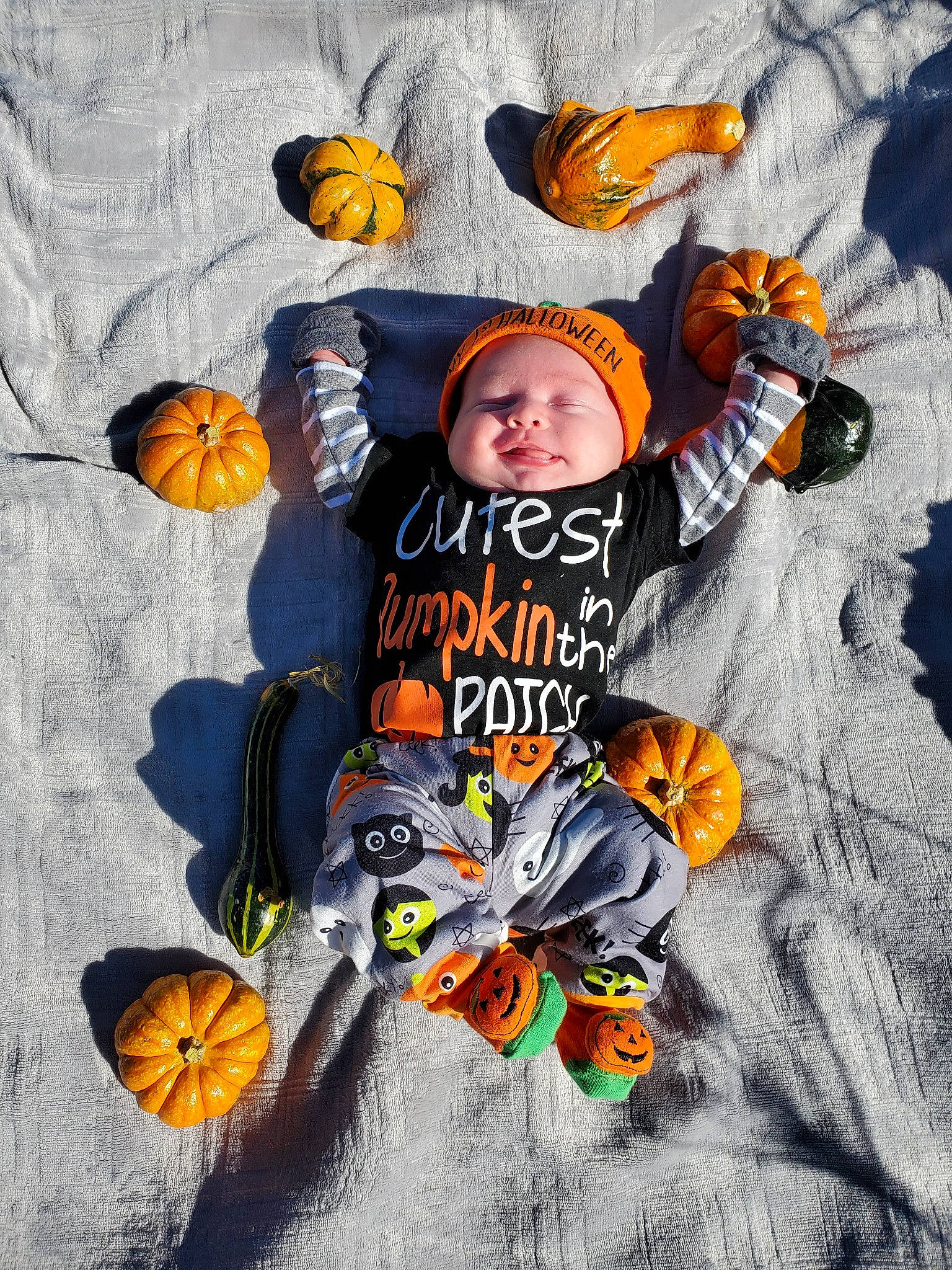 Madden is registered to the contest to win money with this photo: art, calabaza, child, happy, illustration, joy, orange, person, photomontage, plant, pumpkin, t_shirt, trick_or_treat