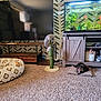 cat, scratching_post, fish_tank, television, carpet, cushion, living_room, furniture, indoor, pet, animal, decor, patterned_wall, wooden_cabinet, colorful_fish, relaxed, playful, cozy, home, leopard_print