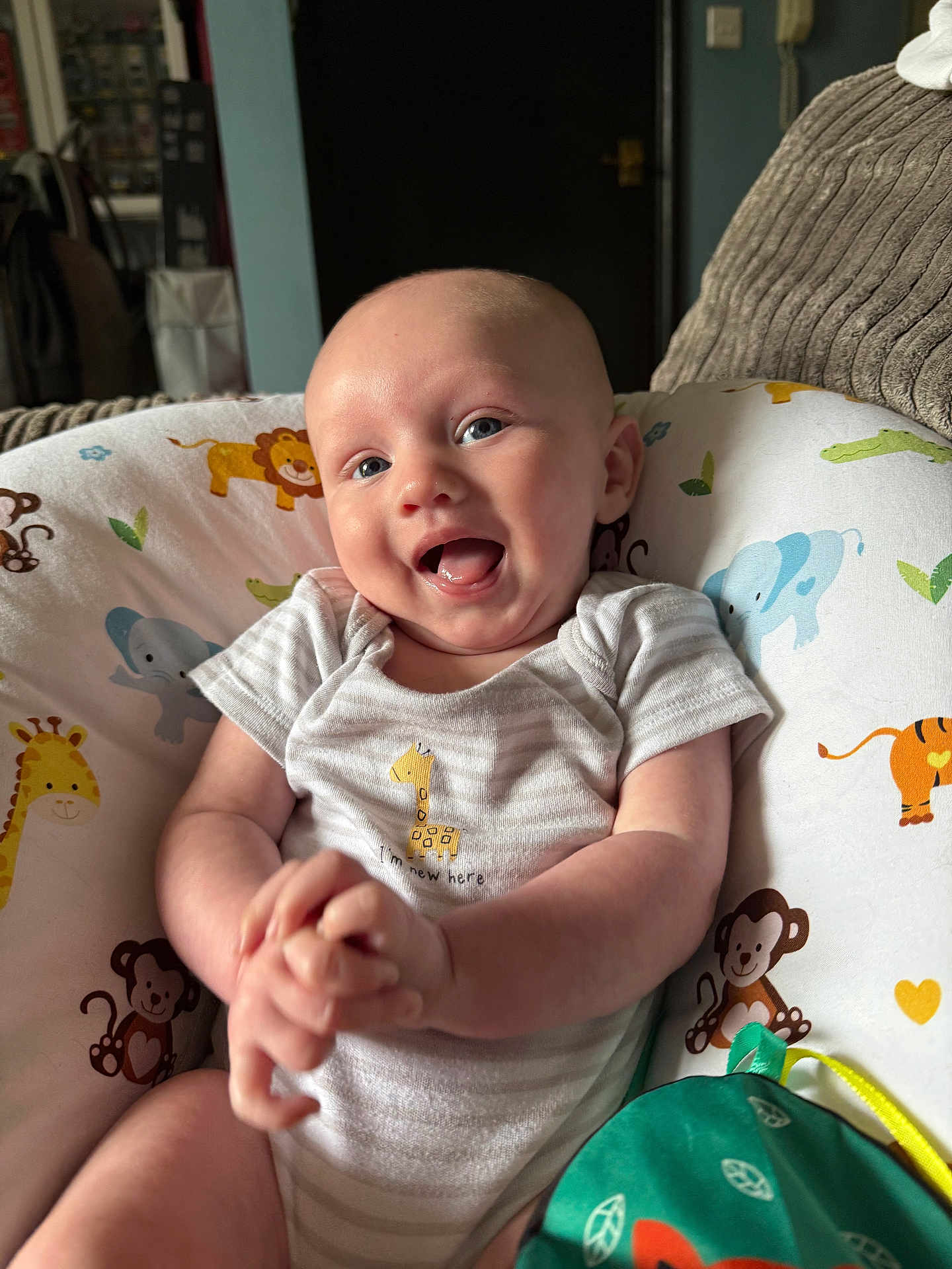Noah joined the competition — help win amazing prizes! baby, infant, smiling, happy, blue_eyes, onesie, animal_print, cushion, monkey, giraffe, elephant, tiger, green_toy, indoor, portrait, cute, child, person, seated, playful