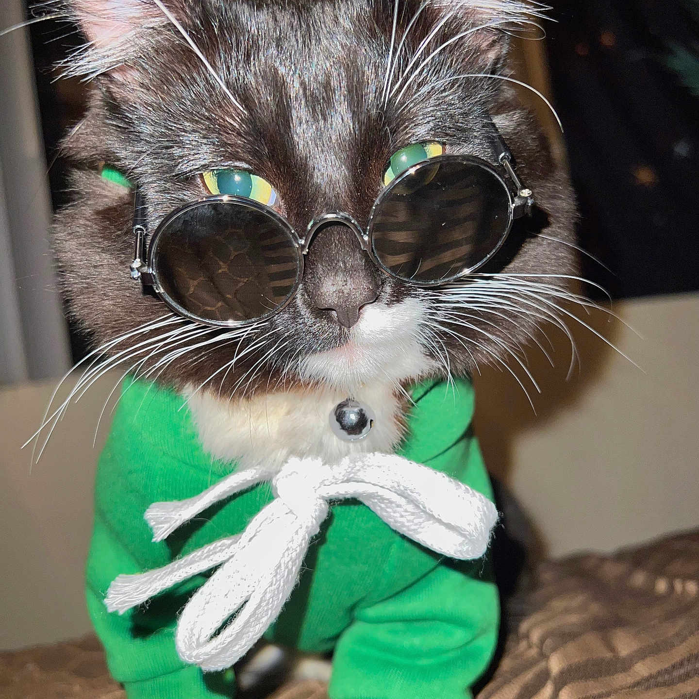 Milo Duenas is registered to the contest to win money with this photo: cat, sunglasses, green_hoodie, pet_clothing, whiskers, indoor, close_up, black_and_white_cat, fashion, cute, animal_portrait, feline, domestic_cat, accessory, pet, young_cat, playful, costume, adorable, fur