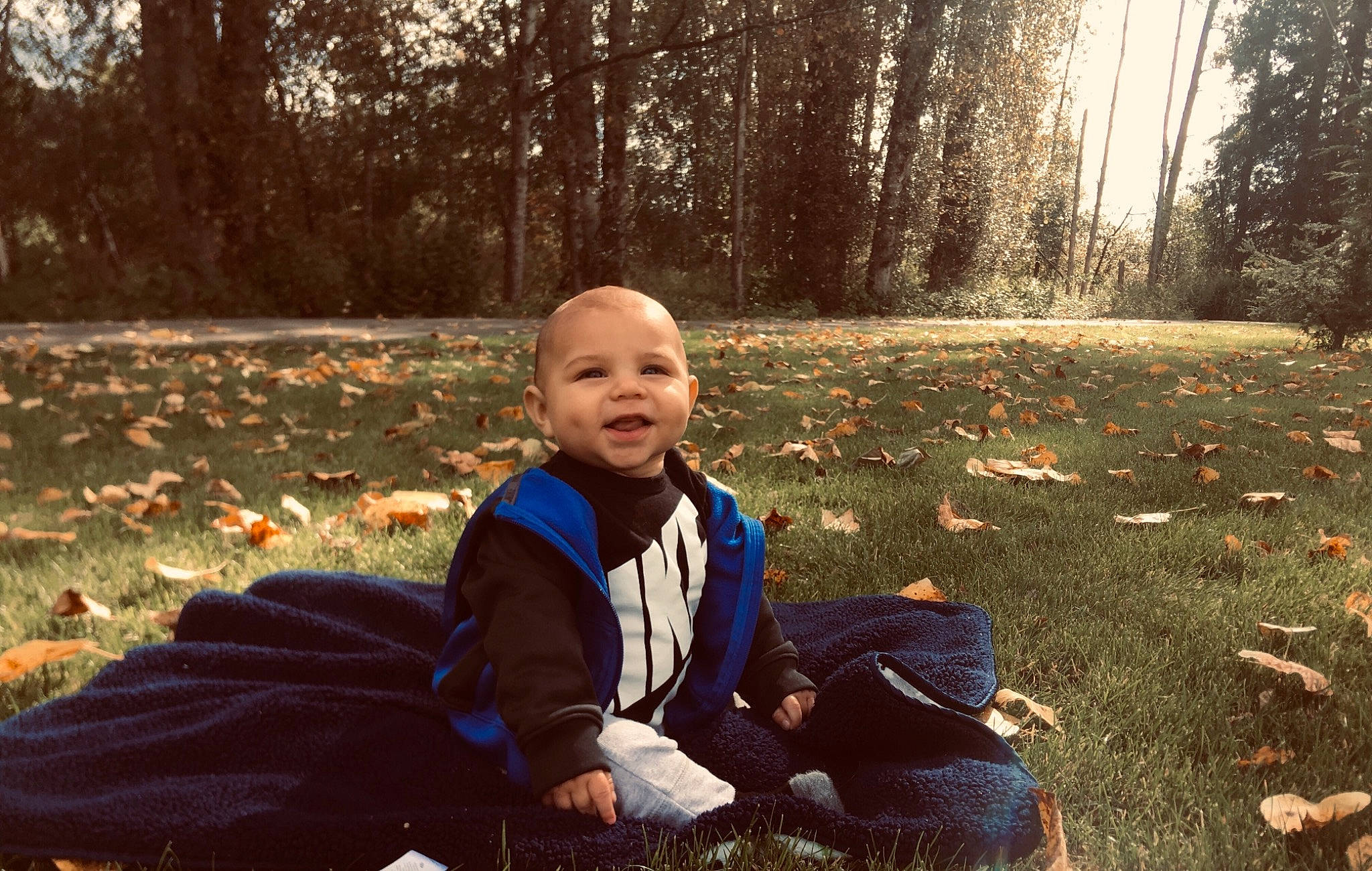 Taylen is registered to the contest to win money with this photo: adaptation, autumn, child, grass, leaf, person, photography, plant, sitting, smile, sunlight, toddler, tree