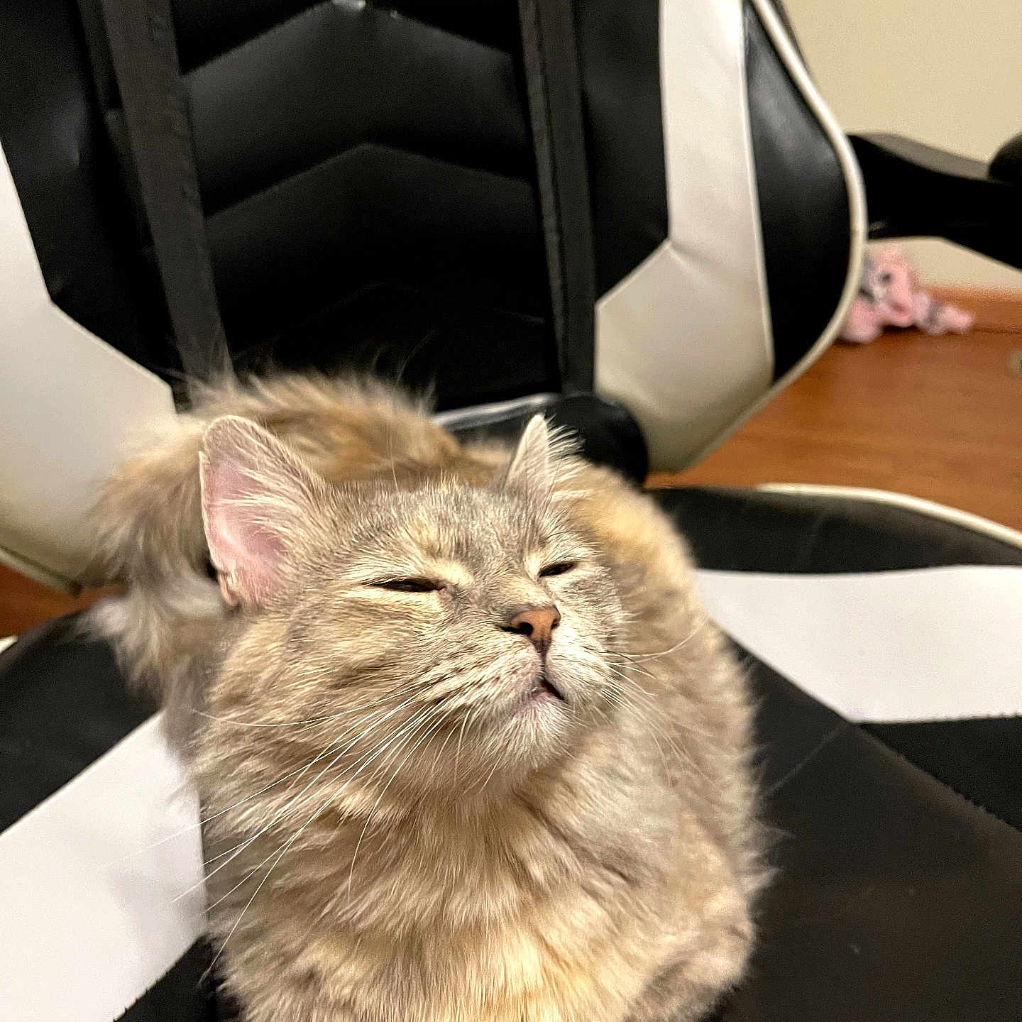 Stormfly