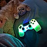 blanket, blue, cat, comfort, cozy, cute, feline, fluffy, game_controller, gaming, glowing, green, hand, indoor, lying_down, neon, orange_cat, pet, relaxing, soft