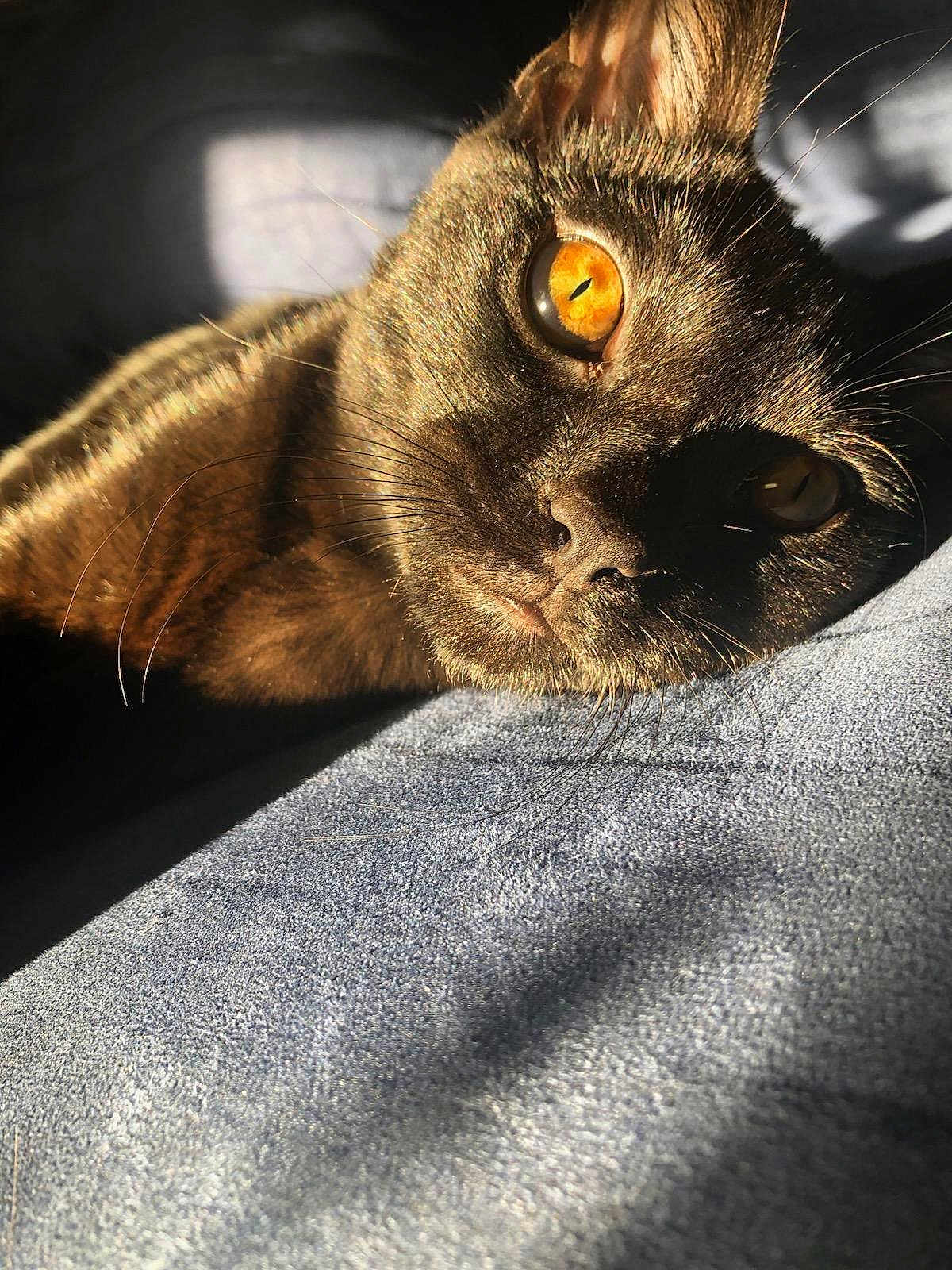 Salem